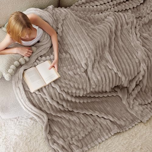 Bedsure Blue Fleece Blanket for Couch - Super Soft Cozy Blankets for Women, Cute Small Blanket for Girls, 50x60 Inches