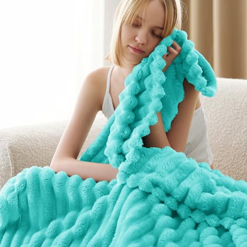 Bedsure Blue Fleece Blanket for Couch - Super Soft Cozy Blankets for Women, Cute Small Blanket for Girls, 50x60 Inches