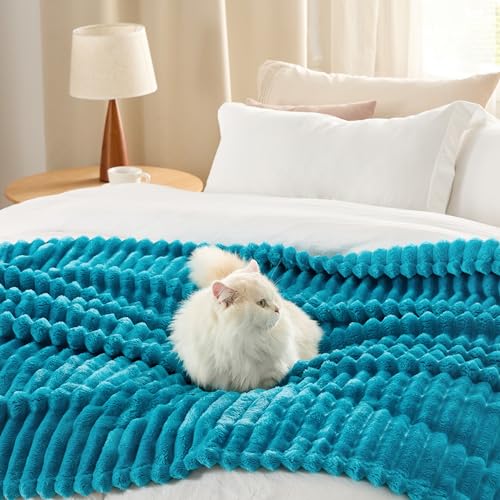 Bedsure Blue Fleece Blanket for Couch - Super Soft Cozy Blankets for Women, Cute Small Blanket for Girls, 50x60 Inches