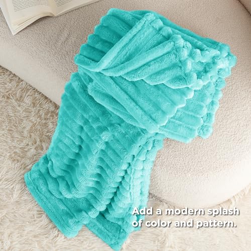 Bedsure Blue Fleece Blanket for Couch - Super Soft Cozy Blankets for Women, Cute Small Blanket for Girls, 50x60 Inches