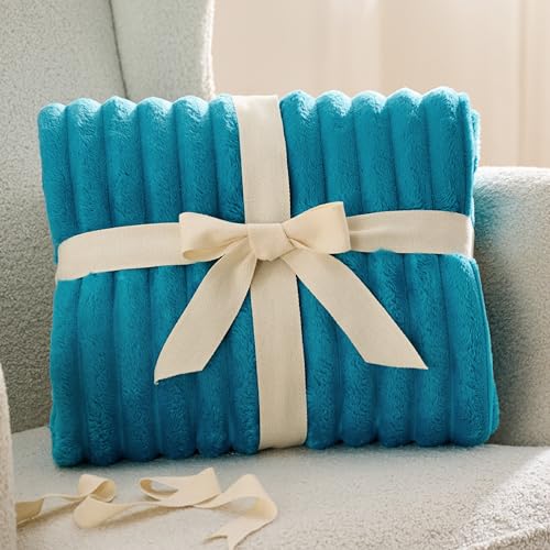 Bedsure Blue Fleece Blanket for Couch - Super Soft Cozy Blankets for Women, Cute Small Blanket for Girls, 50x60 Inches