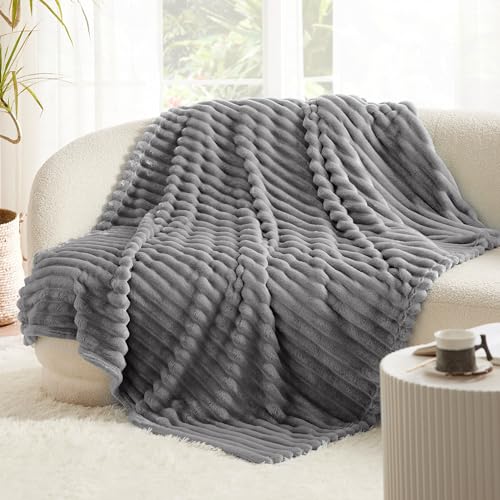 Bedsure Blue Fleece Blanket for Couch - Super Soft Cozy Blankets for Women, Cute Small Blanket for Girls, 50x60 Inches