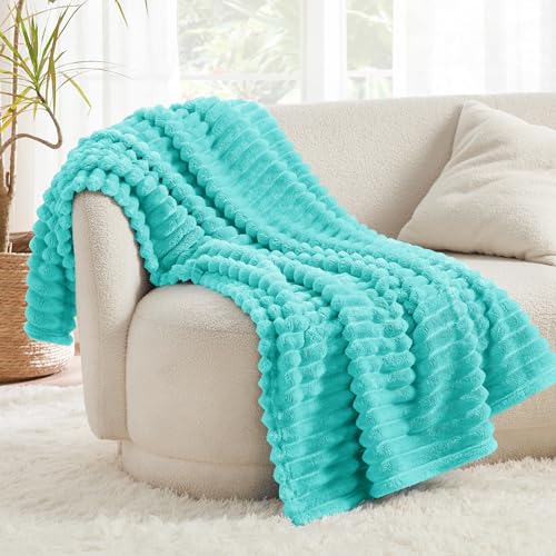 Bedsure Blue Fleece Blanket for Couch - Super Soft Cozy Blankets for Women, Cute Small Blanket for Girls, 50x60 Inches