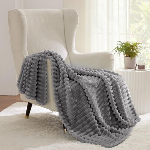 Bedsure Blue Fleece Blanket for Couch - Super Soft Cozy Blankets for Women, Cute Small Blanket for Girls, 50x60 Inches