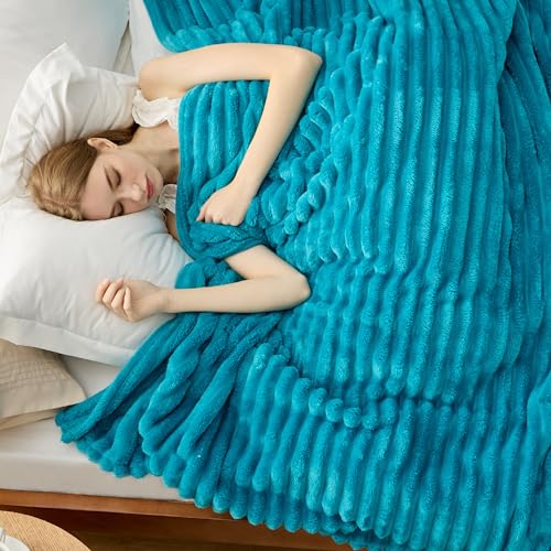 Bedsure Blue Fleece Blanket for Couch - Super Soft Cozy Blankets for Women, Cute Small Blanket for Girls, 50x60 Inches