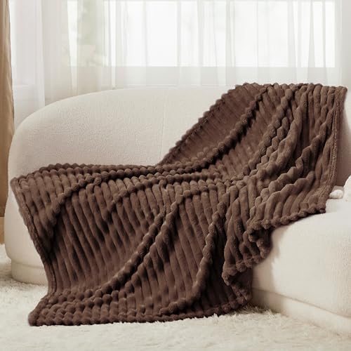 Bedsure Blue Fleece Blanket for Couch - Super Soft Cozy Blankets for Women, Cute Small Blanket for Girls, 50x60 Inches