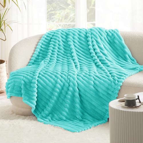 Bedsure Blue Fleece Blanket for Couch - Super Soft Cozy Blankets for Women, Cute Small Blanket for Girls, 50x60 Inches