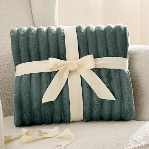 Bedsure Blue Fleece Blanket for Couch - Super Soft Cozy Blankets for Women, Cute Small Blanket for Girls, 50x60 Inches