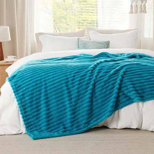 Bedsure Blue Fleece Blanket for Couch - Super Soft Cozy Blankets for Women, Cute Small Blanket for Girls, 50x60 Inches