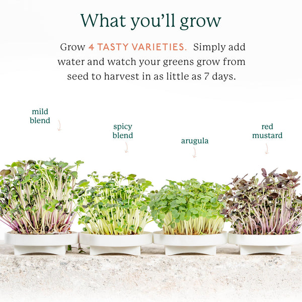 Gardyn Indoor Garden Nursery, Indoor Germination,Hydroponic Growing System - Mom Gifts -Seed Starter Tray Works w/Gardyn Home Indoor Tower Gardens, Vertical Garden Planters & Microgreens Growing Kits