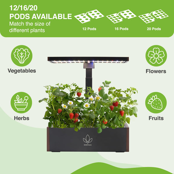 Vita Indoor Hydroponics Growing System Kit, 12/16/20 Pods, 10L Water Tank, Indoor Herb Garden with 5X Faster Growth, Indoor Gardening System with 25" Extendible Rod for Indoor Plants