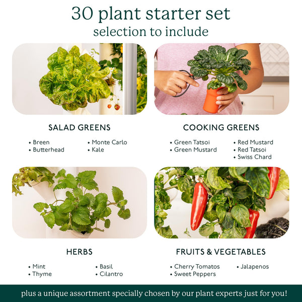 Gardyn Indoor Garden Nursery, Indoor Germination,Hydroponic Growing System - Mom Gifts -Seed Starter Tray Works w/Gardyn Home Indoor Tower Gardens, Vertical Garden Planters & Microgreens Growing Kits